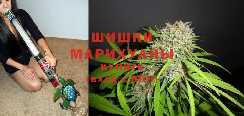 где найти   Учалы  Бошки Шишки White Widow 